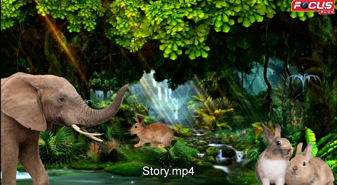 ଠେକୁଆ ଏବଂ ହାତୀ ମାନଙ୍କ ରାଜା