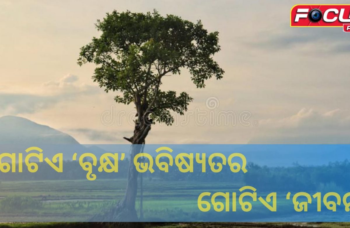 ଗୋଟିଏ ‘ବୃକ୍ଷ’ ଭବିଷ୍ୟତର ଗୋଟିଏ ‘ଜୀବନ’
