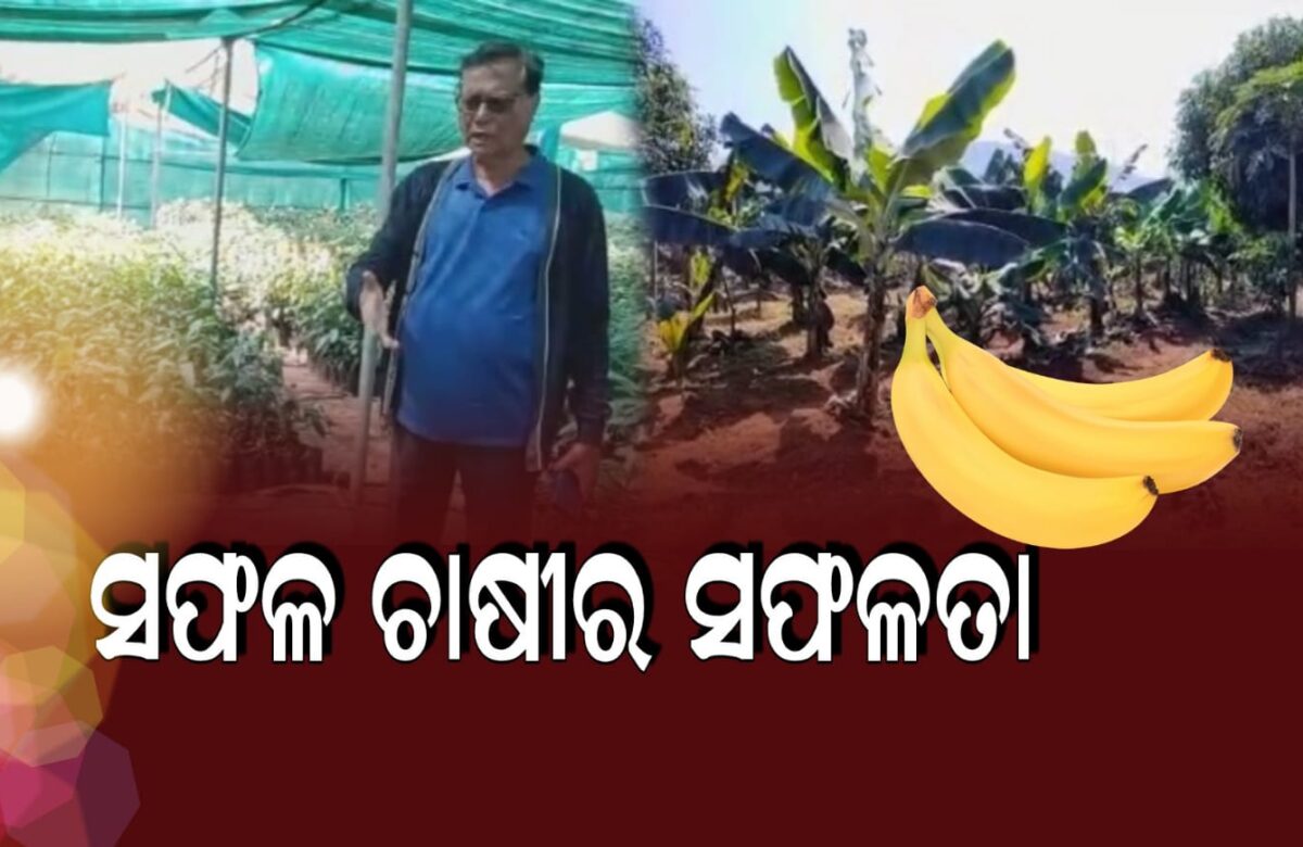 ସଫଳ ଚାଷୀର ସଫଳତା