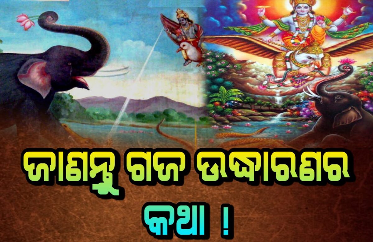 ଜାଣନ୍ତୁ ଗଜ ଉଦ୍ଧାରଣର କଥା !