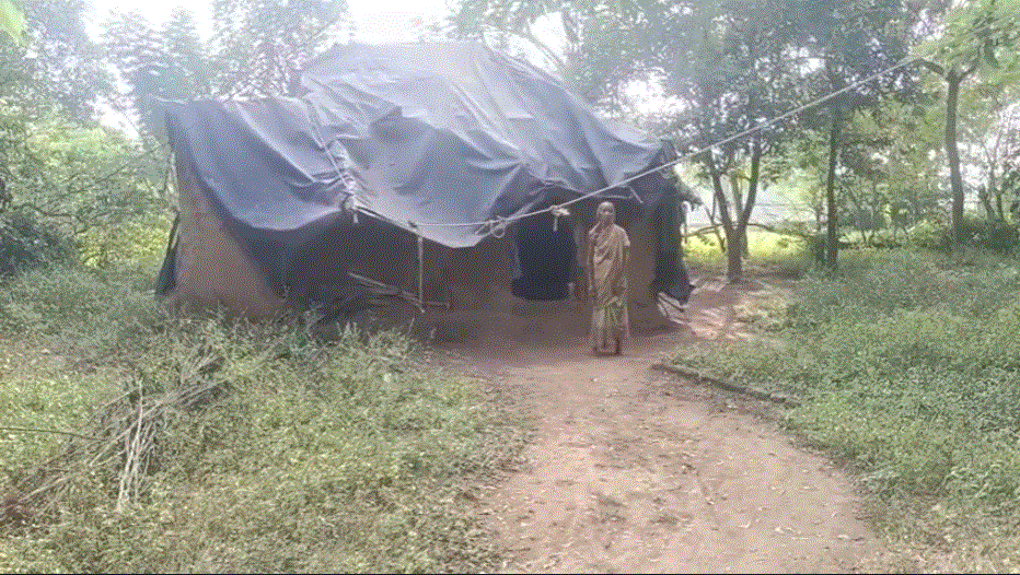 ତେଲିବାହାଲିରେ ୨ଟି ପରିବାର ର ଦୁଃଖ କହିଲେ ନସରେ, ମାଦକଦ୍ରବ୍ୟ ର କାରବାର ପାଇଁ ବହୁ ହସିଲା ଘର ନଷ୍ଟ ହେଉଛି!