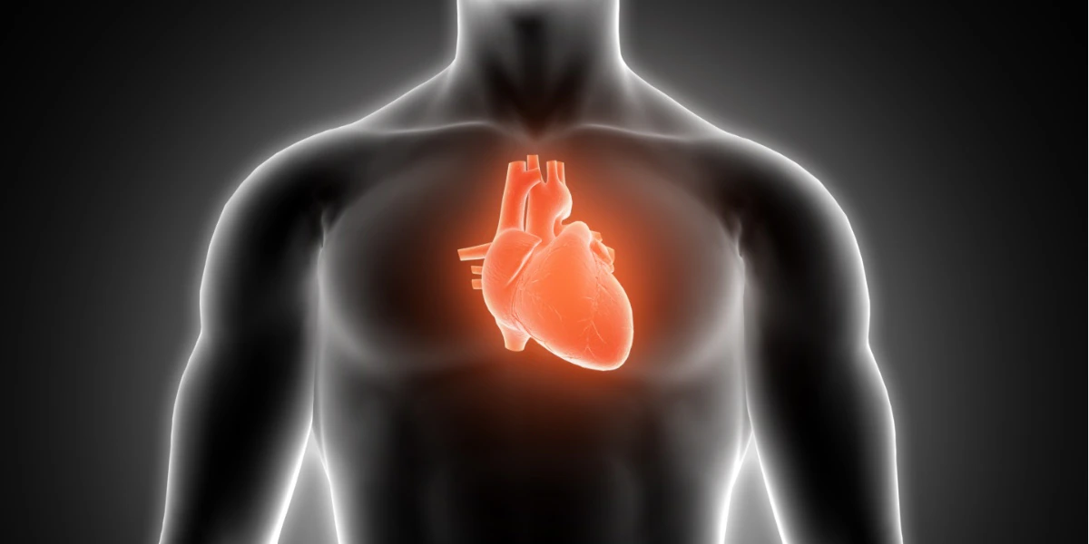 ଏହି 4ଟି ଫଳ ହୃଦୟ ପାଇଁ ଯାଦୁକରୀ, ଡାକ୍ତରମାନେ ମଧ୍ୟ ଏହାକୁ ସ୍ୱୀକାର କରନ୍ତି