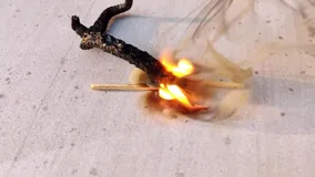 ଦୀପାବଳି ବାଣ କର୍କଟ ରୋଗର କାରଣ ହୋଇପାରେ