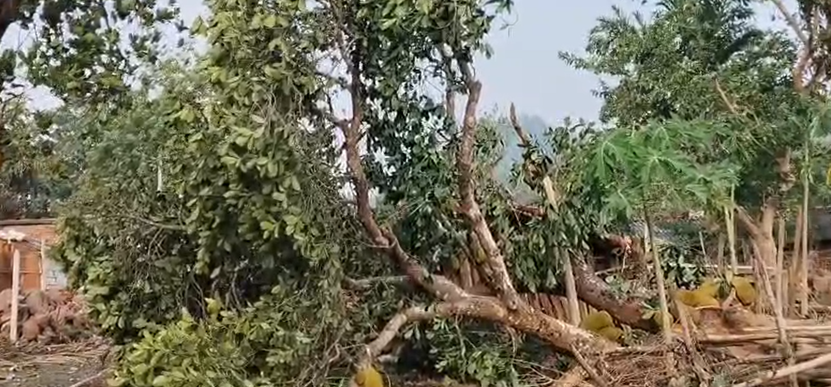 ତୁମୁଡିବନ୍ଧ ଅଞ୍ଚଳରେ କାଳ ବୈଶାଖୀର ତାଣ୍ଡବ, ପ୍ରଶାସନ ନିଖୋଜ